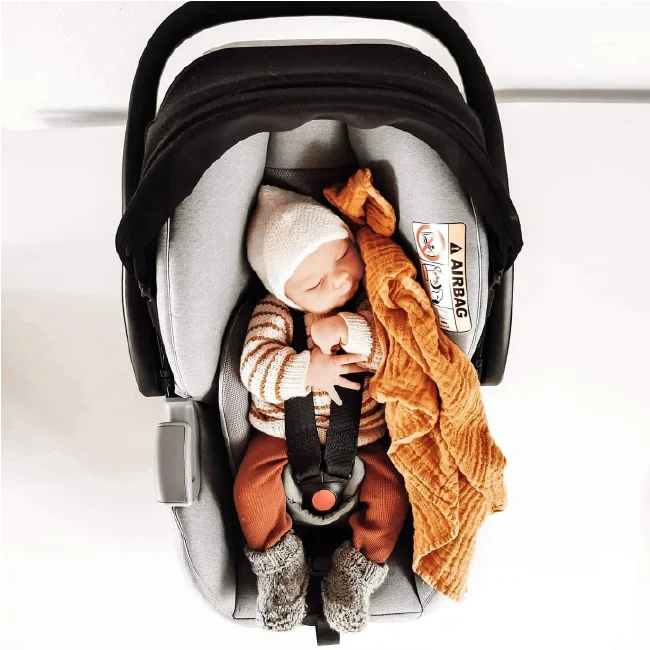 RECARO AVAN Prime car seat